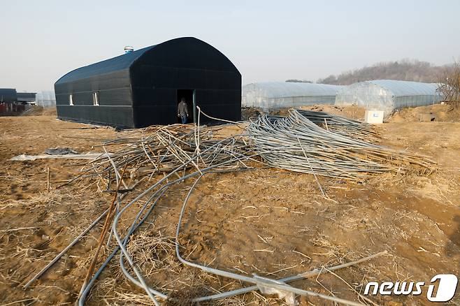 10일 경기 광명 노온사동의 광명시 공무원이 매입한 것으로 알려진 토지에 텅 빈 비닐하우스가 설치돼 있다.  2021.3.10/뉴스1 © News1 안은나 기자