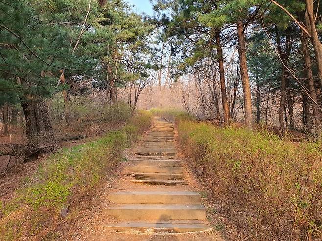 범행이 있었던 초안산 등산로 [촬영 문다영]