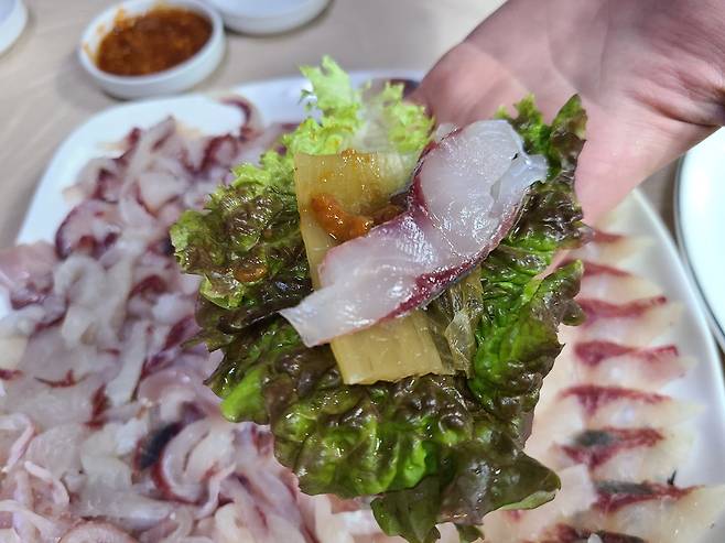 부산에서 맛볼 수 있는 숭어회 [촬영 박성제]