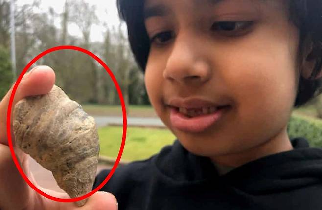 잉글랜드 중부 월솔에 사는 6세 소년 시닥 싱 자맷이 자신의 집 마당에서 발견한 최대 5억 년 전 고대 산호의 화석을 바라보고 있다