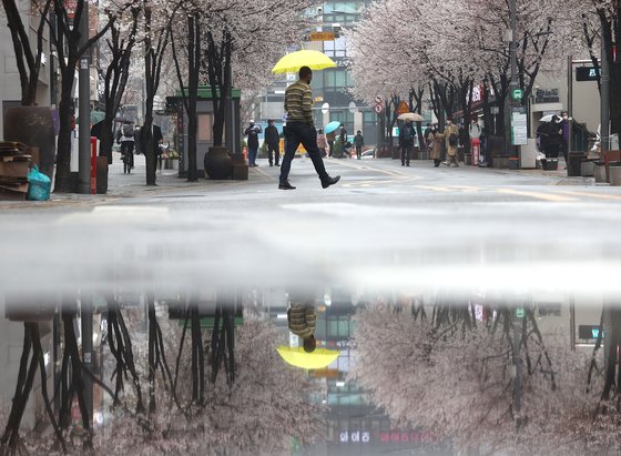 봄비가 내린 지난달 28일 서울 서대문구 연세로에서 시민들이 우산을 쓰고 걷고 있다. 연합뉴스