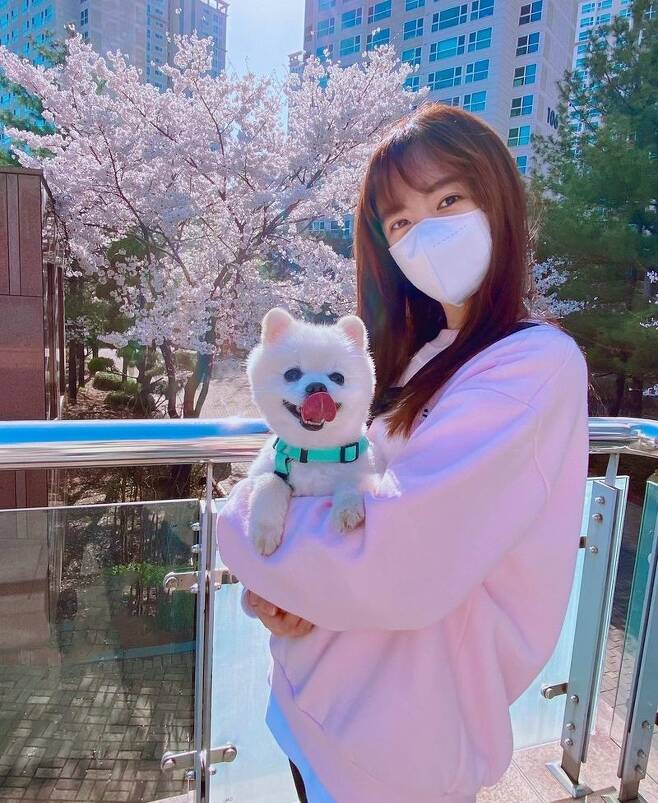 Actor Jin Se-yeon shares routine walking Pet and Cherry enjoyJin Se-yeon posted several photos on his personal instagram on April 2, along with an article entitled Its too pretty to take a walk these days.In the photo, Jin Se-yeon is posing with Pet Leo cherished.As if it were out for a walk, it is noticeable that the man to man is comfortable with a combination of leggings.The same pink man to man cody as cherry blossoms suggests the excitement of Jin Se-yeon dealing with cherry blossoms.The netizens who watched the photos responded such as Pink Pink, It is so beautiful and Cherry blossoms are only help.