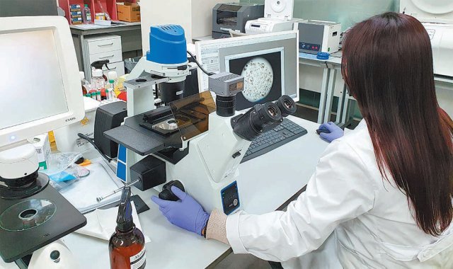 2018년 설립된 국내 오가노이드 벤처인 오가노이드사이언스 연구원이 장 오가노이드가 제대로 형성됐는지 현미경에 연결된 모니터로 확인하고 있다. 오가노이드사이언스 제공
