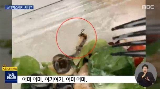 스타벅스에서 구입한 샐러드를 취식하던 도중 지네가 발견됐다. [사진=MBC 뉴스데스크]