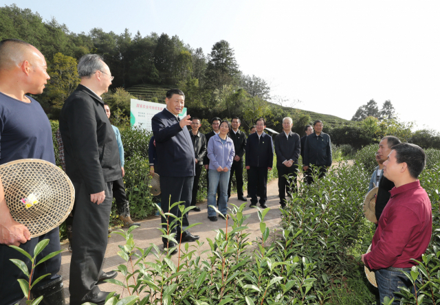 지난달 23일 중국 푸젠성 난핑시를 방문한 시진핑 중국 국가주석이 차 농장을 둘러보고 있다. 시 주석의 농업 현장 시찰이 지난해부터 부쩍 늘었다. /신화연합뉴스