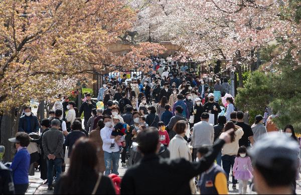 서울 광진구 어린이대공원이 봄 나들이 객으로 붐비고 있다./사진=조선일보 DB