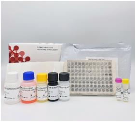 (서울=연합뉴스) 의료기기 수입 및 제조업체 SG메디칼의 신종 코로나바이러스 감염증(코로나19) 중화항체 진단키트(R-FIND SARS-CoV-2 Neutralizing Antibody ELISA Kit) 사진. 2021.04.08. [SG메디칼 제공. 재판매 및 DB 금지]