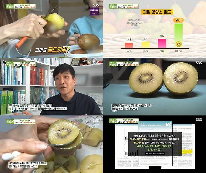(사진=SBS 생방송투데이 4월 8일 방송분)