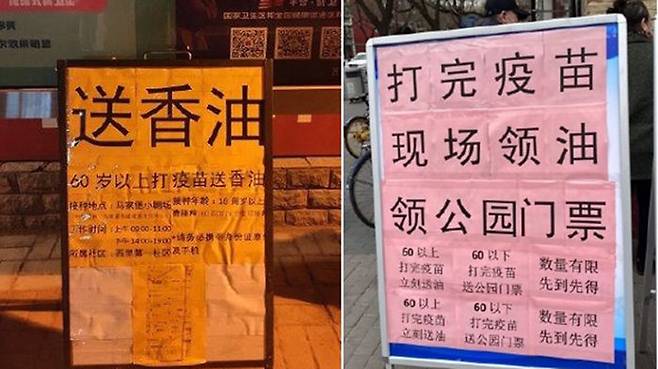 60세 이상이 백신을 접종하면 참기름과 공원 무료 입장권을 준다고 써붙인 안내문들