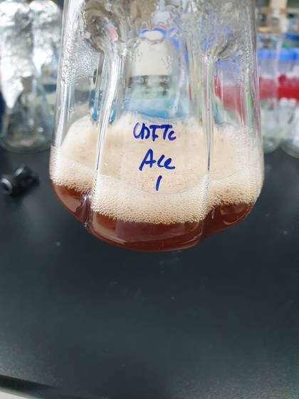 카르민산이 담긴 플라스크의 모습. 카르민산만 만들어지는 것이 아니라, 부산물이 함께 생산되기 때문에 검붉은 색을 띤다. 부산물을 제거하면 조금 더 밝은 붉은색이 된다고 한다. 〈사진=카이스트 이상엽 특훈교수 연구팀〉