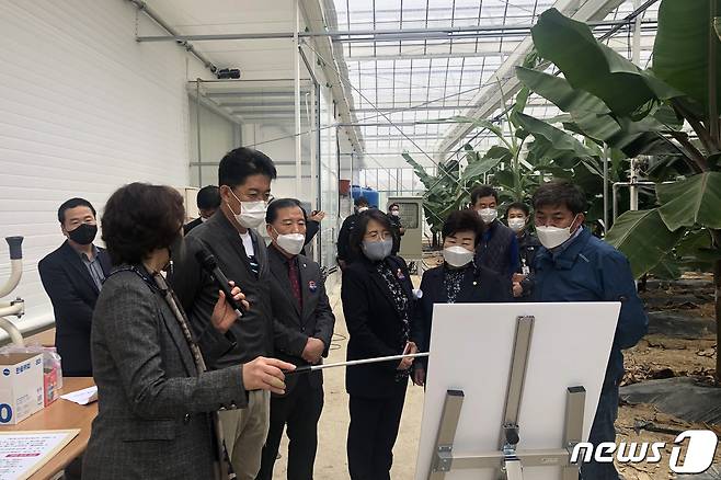 경북 포항시의회 경제산업위원회가 북구 흥해읍 아열대 과수 및 산딸기 재배농가를 찾아 농민들을 격려했다.(포항시의회 제공)2021.412/© 뉴스1