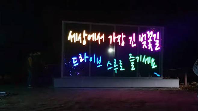 창성시트가 대전 대청호 벚꽃길에 필름형 투명 LED 디스플레이를 야간에 설치한 직후 성능을 점검하는 모습.