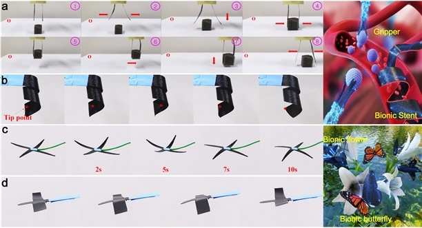 응용가능 분야: a. 의료용: 그리퍼, b. 의료용: 혈관 스텐트, c. 예술소품: 꽃 운동 모사, d. 예술소품: 나비운동 모사. 한국마이크로의료로봇연구원 제공