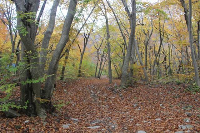 ▲‘한국의 아름다운 길’로 선정된 나라분지 가을길. 본나리에서 상나리, 성인봉 초입까지 이어지는, 한없이 편안한 길이다.Ⓒ김종두