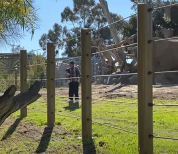 지난달 19일 캘리포니아주 샌디에이고동물원에는 한 20대 남성이 두 살 딸에게 코끼리를 더욱 생생하게 보여주기 위해 서식지 안으로 안고 들어갔다가 아동을 위험에 빠뜨린 혐의로 체포됐다.