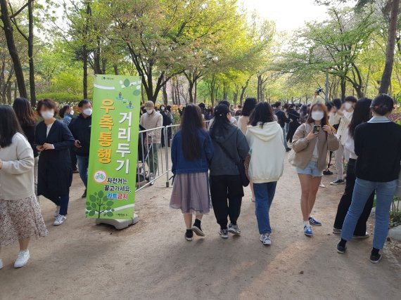 지난 주말인 10일 서울 성동구 서울숲은 튤립을 보기 위해 방문한 시민들로 북적였다. /사진=윤홍집 기자