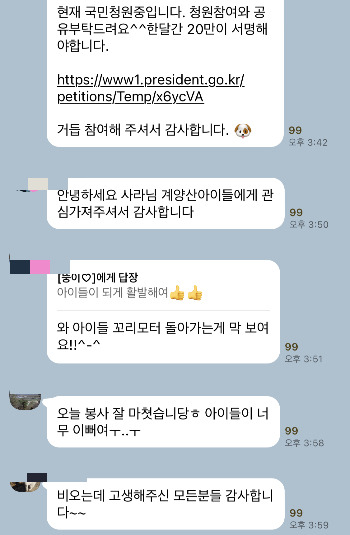 개들을 보호하고 살리기 위한 이야기가 매순간 오가는 '롯데목장 개살리기 시민모임' 단톡방. 그런데 '시민보호소'로 인정해줄 순 없단다./사진=남형도 기자