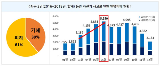 〈사진=행정안전부 자료 캡처〉