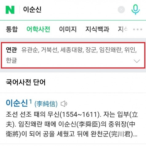네이버에서 '이순신'을 검색하면 거북선 등이 연관검색어로 뜬다. [사진=네이버 캡처]