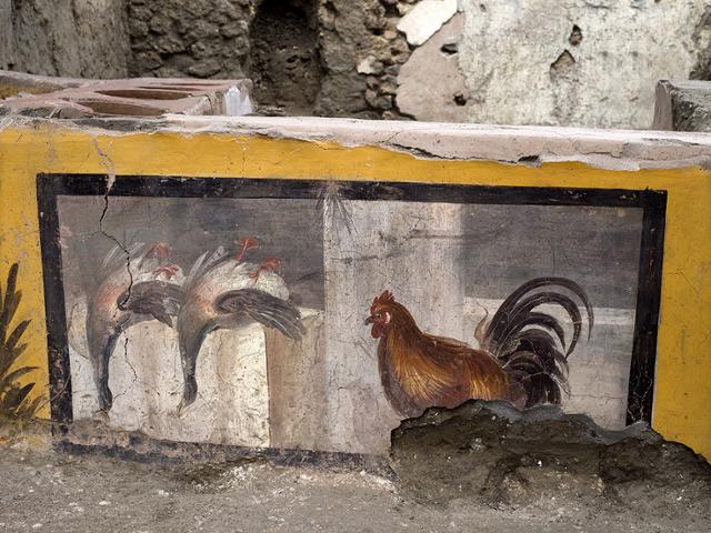 조리대이자 매대로 추정되는 ‘카운터’의 벽에 뒤집힌 청둥오리 두 마리와 수탉 한 마리가 프레스코 기법으로 그려져 있다. 폼페이 고고학공원(Archaeological Park of Pompeii) 홈페이지