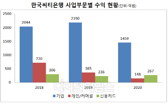 한국씨티은행 사업보고서