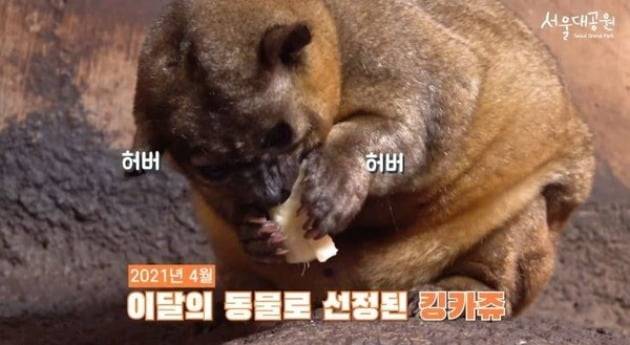 /사진=서울대공원 유튜브