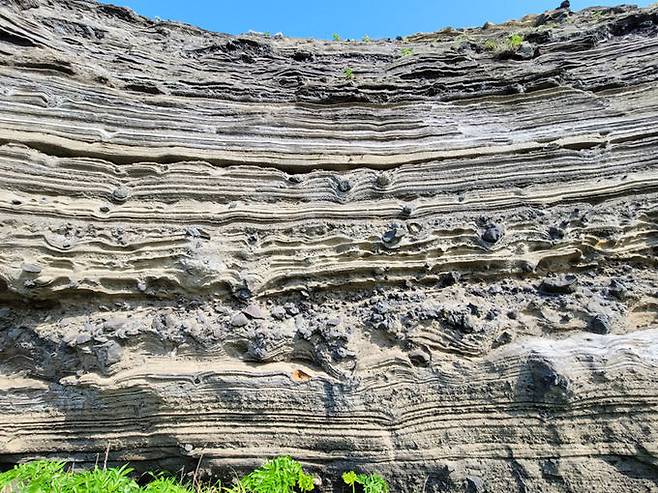 화산재 지층 탄낭구조와 화산탄