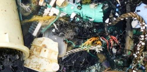 북태평양 거대 해양 쓰레기섬. 연합뉴스