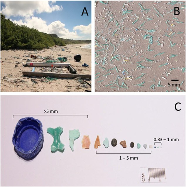 헨더슨 섬 해변에서 발견된 쓰레기와 미세 플라스틱 입자들의 모습.(사진=마린 폴루션 불리틴)