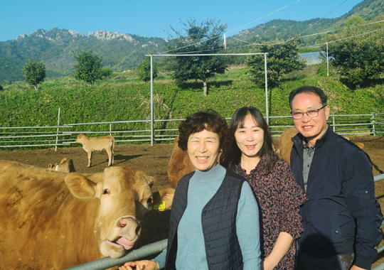 전남 해남군 북평면에서 만희농장을 운영하는 김성희(오른쪽) 씨와 부인 양만숙(왼쪽) 씨, 딸 김소영 씨가 19일 오전 소들이 놀고 있는 운동장 앞에서 환한 미소를 지어 보이고 있다.  소 한 마리가 함께 사진을 찍자는 듯 얼굴을 내민 모습이 이채롭다.   만희농장 제공