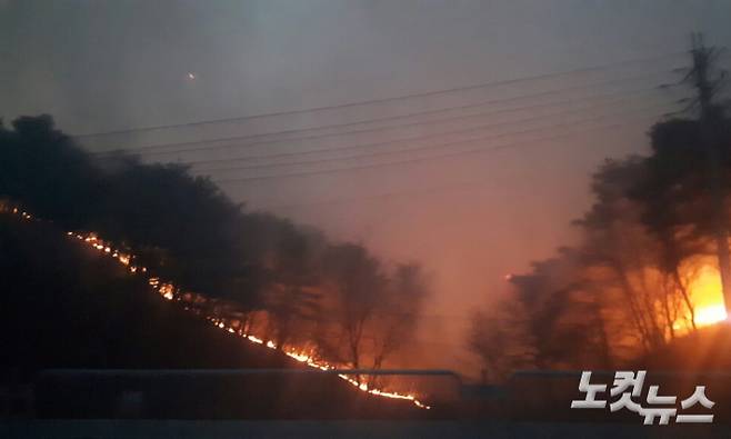 봄철 양양에서 발생한 대형 산불. 유선희 기자