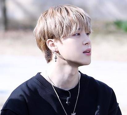 방탄소년단 지민(BTS JIMIN)