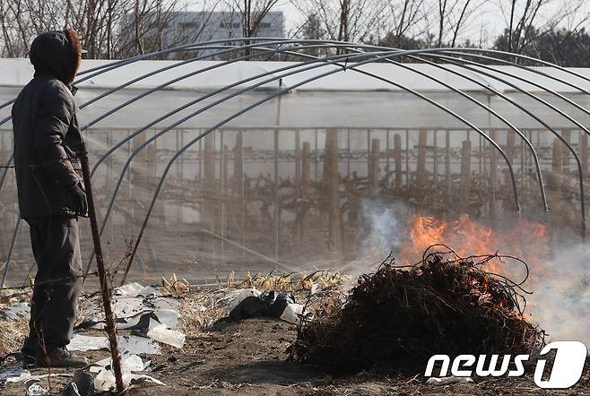 한 시민이 덩굴과 잡목 등을 불태우고 있다.2018.1.28/뉴스1 © News1 공정식 기자