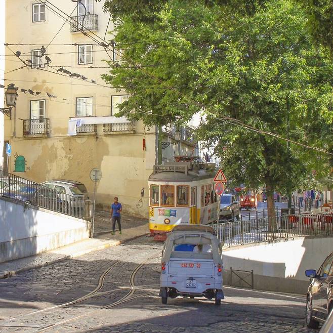 노란색 트램마저 노랗게 물들이는 리스본의 오후 햇빛