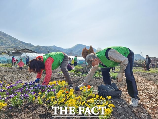 시민들이 전북 전주시 색장동 소재 원색명화마을 도시농업 체험농장 '놀자천하지대본’에서 도시농부 시민학교 교육을 받고 있다. /전주시 제공