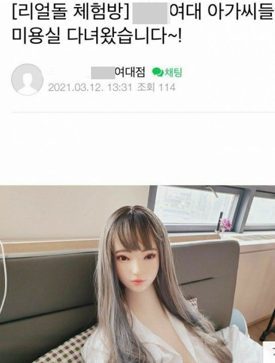 지난달 서울 한 리얼돌 체험방 업체가 인터넷 커뮤니티에 올린 홍보글. / 사진=인터넷 커뮤니티 캡처