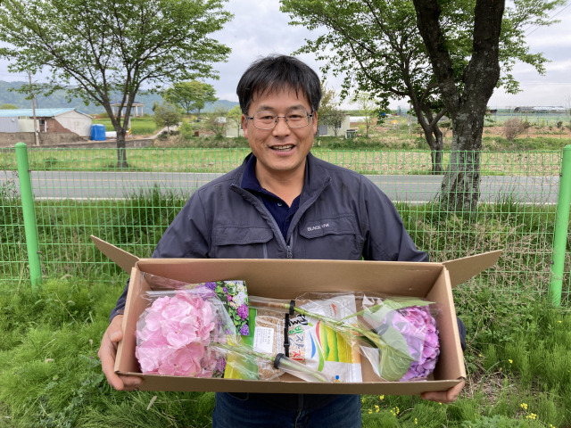 ▲강진 화훼농가가 강진산 “수국+쌀귀리” 패키지 상품을 선보이고 있다ⓒ강진군