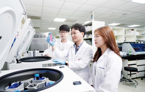 POSTECH은 최초의 연구중심대학으로 과학기술 분야에서 선구적인 연구를 이끌어 가고 있다. 이승우 교수(왼쪽 두번째) 연구진이 장내 미생물에 대한 연구를 하고 있다. POSTECH 제공