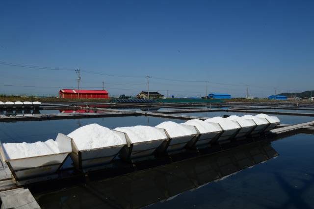 영백염전은 염전 내 시설이 깨끗이 정비돼 있어 관광지로도 손색없다. 해가 뜨고 질 무렵이면 사진작가들이 몰려와 염전 풍경을 렌즈에 담는 모습도 볼 수 있다.