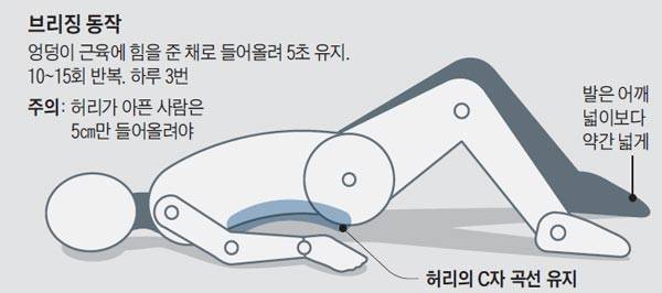 헬스조선 DB