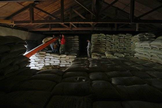 2020년 쌀 수확량은 1968년 이래 최저치인 350만7000t이었다. 쌀 공급이 줄면서 쌀값은 소매가격(20kg 기준) 6만원대를 돌파했다. 사진은 전북의 한 창고로 수확한 쌀을 쌓고 있는 모습. [중앙포토]