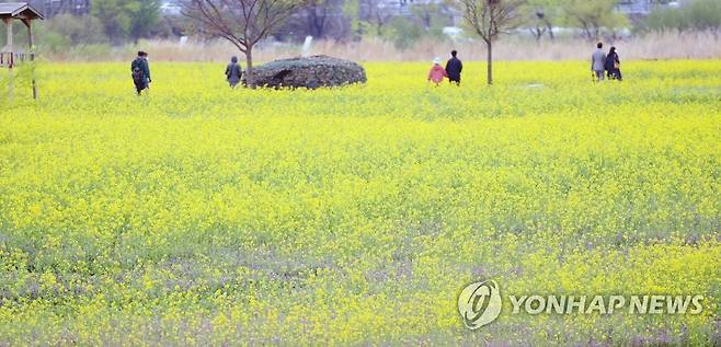 금호강 하중도 [연합뉴스 자료사진]