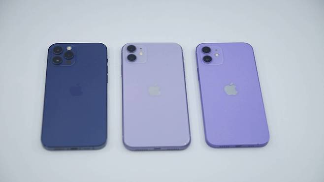 왼쪽부터 차례로 아이폰 12 프로 퍼시픽 블루, 아이폰 11 퍼플, 아이폰 12 퍼플