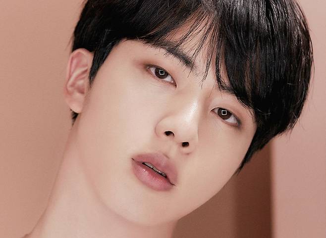 방탄소년단 진(BTS JIN)