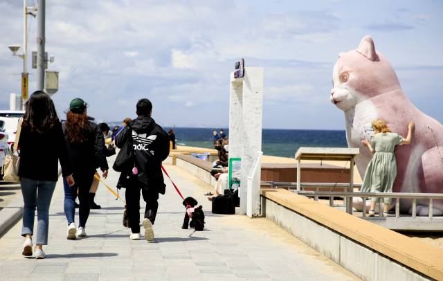 안목해변은 실내보다 해변가를 걸으며 인증 사진을 남기려는 관광객들이 더 많다. 사진은 안목해변 인기 포토존인 대형 고양이상.