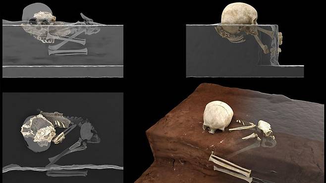 음토토 발굴 당시 위치 복원도