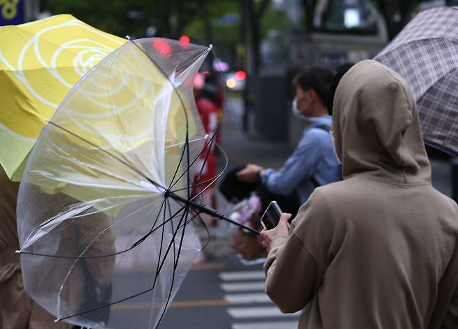 4일 오후 울산시 남구 한 거리에서 비와 함께 강한 바람이 불어 우산이 뒤집어지고 있다. /연합뉴스