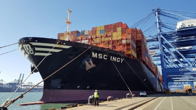 지난 2월 'MSC INGY호'(1만9460TEU급)가 부산항 신항 1부두에 입항해 1만3719TEU의 컨테이너 물량을 하역, 부산항 역사상 단일 선박으로는 가장 많은 물량을 처리하는 신기록을 달성했다. ⓒ부산항만공사