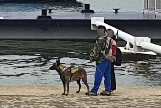 30일 오후 서울 반포한강공원에서 실종된 대학생의 시신을 발견한 민간구조사와 구조견이 시신이 수습되는 모습을 지켜보고 있다. 연합뉴스