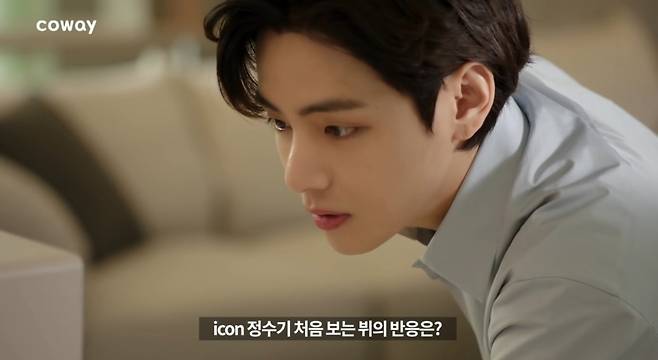 방탄소년단 뷔(BTS V)